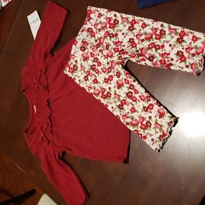 Gymboree size 3-6 mos, matching 2 piece set. Top and leggings. NWT.